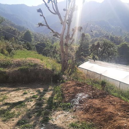 Parvatiya Homestay Mussoorie Bagian luar foto