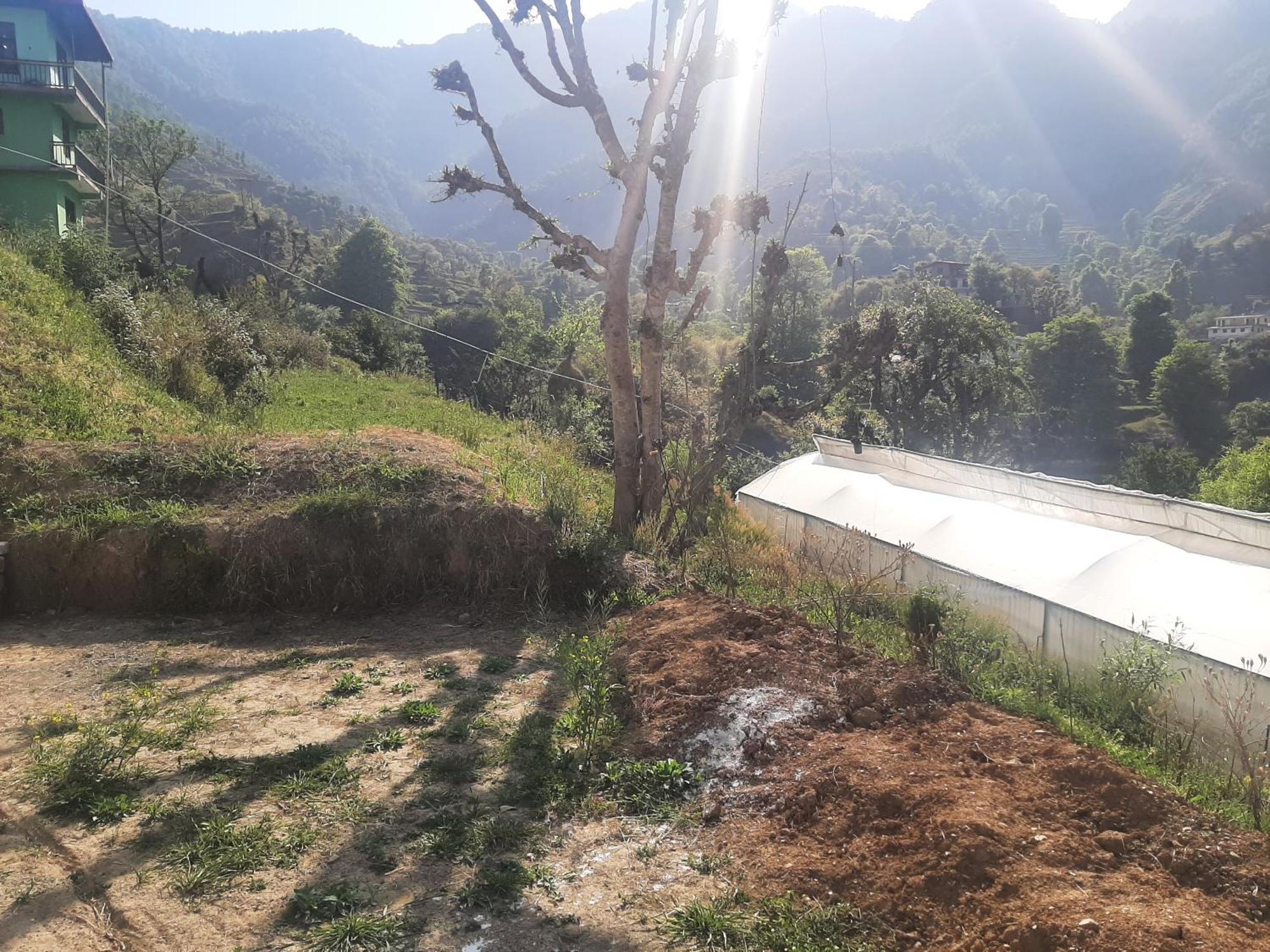Parvatiya Homestay Mussoorie Bagian luar foto